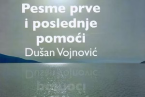 Песме прве и последње помоћи