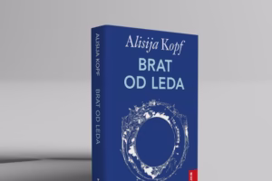 „Брат од леда“,роман о изазовима породичних односа