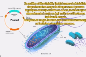 Милован Шавија:Како преживети улогу заморца у биолошким експериментима званим пандемије