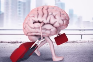 ДРАЖИ ИМ МАЛИ ФАКУЛТЕТ У СЛОВЕНИЈИ, ОД БЕОГРАДСКОГ УНИВЕРЗИТЕТА: Које су последице све мањег броја студената