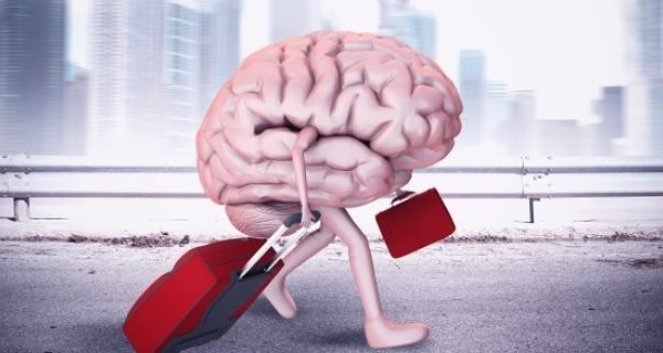 DRAŽI IM MALI FAKULTET U SLOVENIJI, OD BEOGRADSKOG UNIVERZITETA: Koje su posledice sve manjeg broja studenata