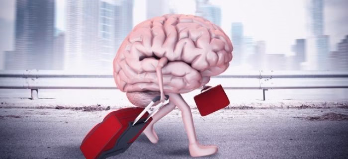 DRAŽI IM MALI FAKULTET U SLOVENIJI, OD BEOGRADSKOG UNIVERZITETA: Koje su posledice sve manjeg broja studenata