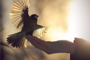 Шта је љубав:Део 2. Љубав је превладавање себе