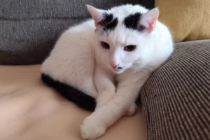 Супер сам ја (озбиљно)